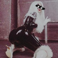 Felicia Hardy (@pussygoround) 's Twitter Profile