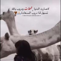 الحمدلله على كل نعمةٍ أحاطت بي🤍. (@galaxykwt1) 's Twitter Profile