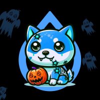SPOOKY (@spookysui) 's Twitter Profile Photo
