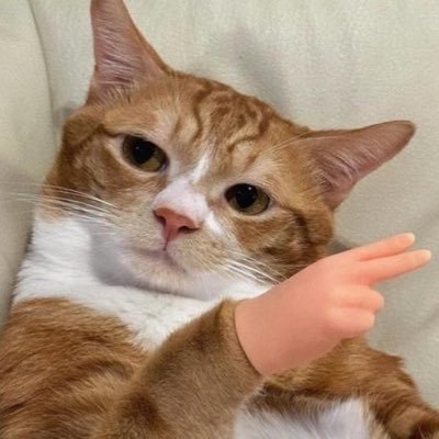 bluberri_7's profile picture. 