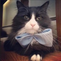 MJ (@mj_2009_) 's Twitter Profile