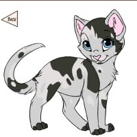 Misty Lil’ Softpaws (@misty_thekitten) 's Twitter Profile Photo Misty Lil’ Softpaws (@misty_thekitten) 's Twitter Profile Photo