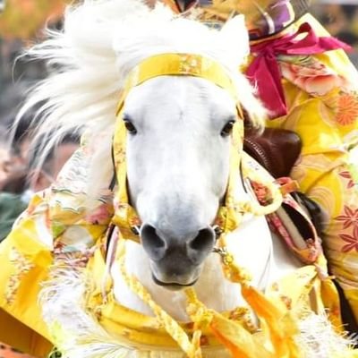 MrHCdivision's profile picture. 23
夢腐含む脳みそ経由しないツイートします。
ワイテルズ/ふぁるぼーいず/slh/アナタシア/東海オンエア/嵐/にじさんじ/ハイキュー！！/忍たま落乱/文スト/刀剣乱舞/ヒプマイ/文アル/ツイステ/BJ/HP/東リべ
基本的全推し派
コス垢→ @samumiya_naruu