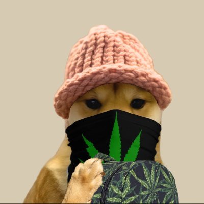 bensongbp's profile picture. 