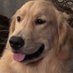Greg Critzer (@greg_critz87156) Twitter profile photo Greg Critzer (@greg_critz87156) Twitter profile photo