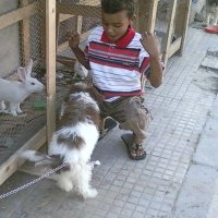 Mohamed.sherif (@msaherif) 's Twitter Profile