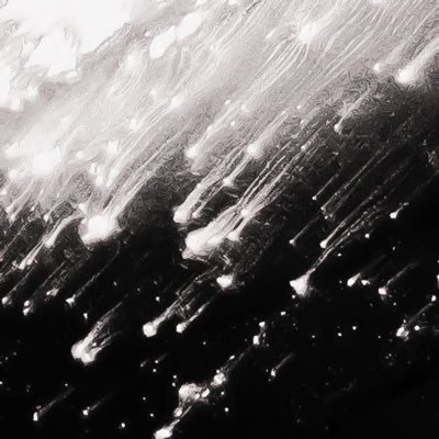 f13st_ella's profile picture. mostly f1 and things i like to complain about in my life 33 | 81 | 16 | 44