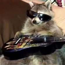 weirdcity6's profile picture. i live in margaritaville