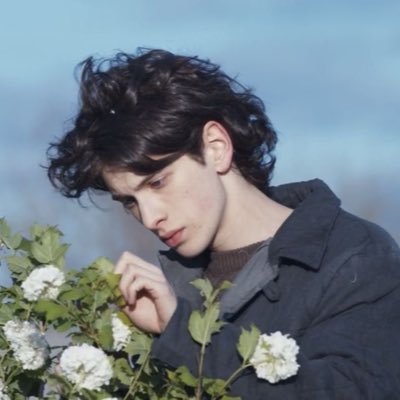 tommensside's profile picture. 