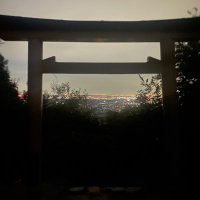 黒木 (@kurokish) 's Twitter Profile