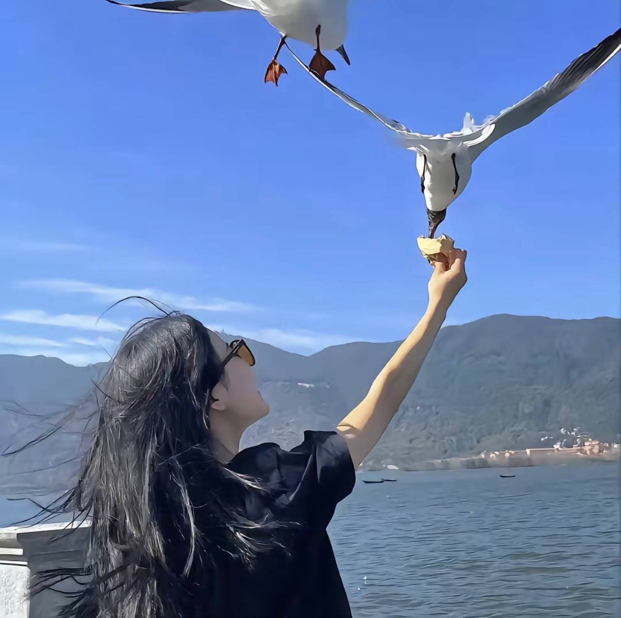 CarrollFed50196's profile picture. 同城上门服务，无定金~无门槛～💋💋我的大号有我微信:@caominhtri92 点击即可查看。 -----------------------------------------------------------------------安全Θ靠谱Θ极速Θ专业------