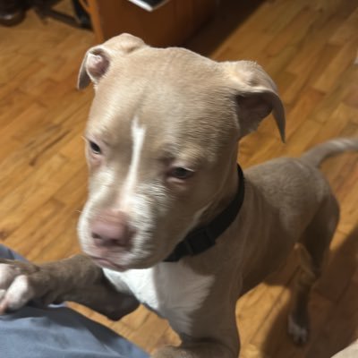 hazardafa's profile picture. 