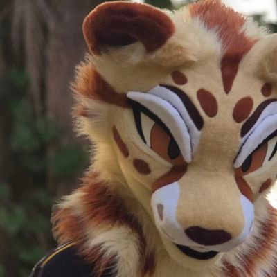 house chee | they/them | 🧵 @alphalyncis | FL fur | banner @ArchTheFox