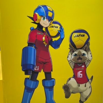 lierie0921's profile picture. バレーボールに関するお仕事をちょっとだけしてます。