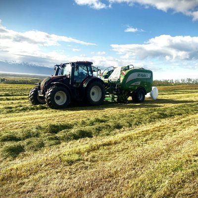 Atli_Atlason's profile picture. 