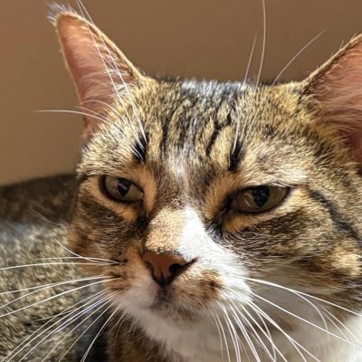 TheKirkYates's profile picture. .