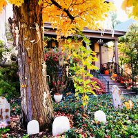 BoldCreationsByTJ (@bold_tj) 's Twitter Profile