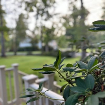 OG_Juan_Kenobi's profile picture. Sometimes I’m right, sometimes I’m wrong, but I’m always open to learn and evolve.  Conservative liberal if that makes sense