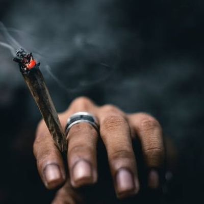 JerryGeorg89291's profile picture. 