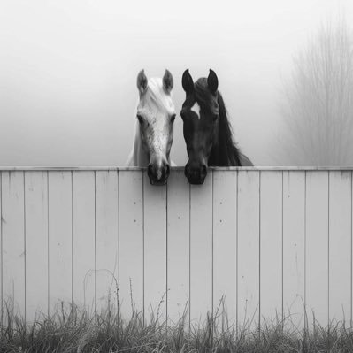 __FALWAH's profile picture. 