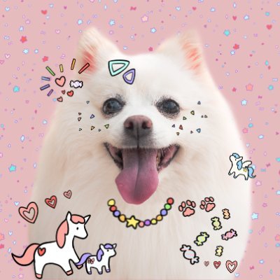 파판룬아로아솜깅 / 24.12.07~ 강아지보리의여행 / 빰빰 나이트하는 팡라딘 / 이별은 블락 / 30대성인유저 / 주로 햇살에 감김 Switch 소라 룬아 루시안💛 / 센루한방울/ 인장헤더 레몬님이 찍어주신 내강아지보리❤️🔥 구독시 블락함
/술계: @alcohol_ic_Fang