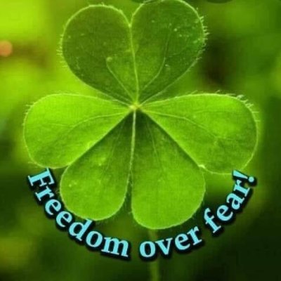 irish_jackill's profile picture. Free us from the real enemy #zionists #wef #un #irelandsfortheirish wide awake since bio weapon #2020