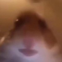 Sid (@slimsid69) 's Twitter Profile