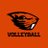 BeaverVBall's profile image