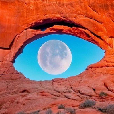 MGrey_22's profile picture. A normal rational human