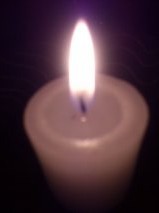 dance_organic's profile picture. pescatalian Love chill out, trance, dance music and natural organic life!