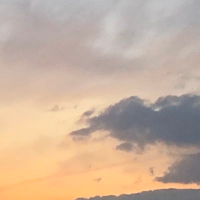 if_I_fall_3's profile picture. TU B4