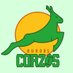 Burgos Corzos (@burgoscorzos) Twitter profile photo Burgos Corzos (@burgoscorzos) Twitter profile photo