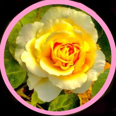 nozomu08324920's profile picture. 娘&パパ3人𝕗𝕒𝕞𝕚𝕝𝕪 🏠┊ メリハリボディー目指してます💕┊ 映画館のキャラメル🍿ハマってます🤭┊ 💻ゲーミングPCでVALORANTしたい❣️┊ 花粉症🤧➕睡眠不足🥹┊美容コスメ💄💅 ┊お肉🥩スイーツ🍰🍫🍉🧋┊ゲーム 🎮アニメ┊