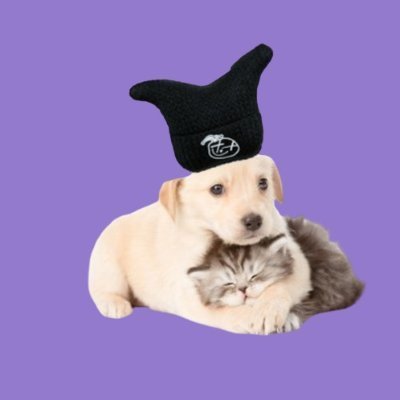 PupGi⁷ ⟭⟬ 🔍⍤⃝🔎さんのプロフィール画像