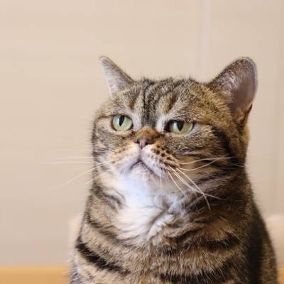 ry_zr1's profile picture. nothing