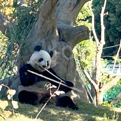 6XWQ23qqzj1686's profile picture. 