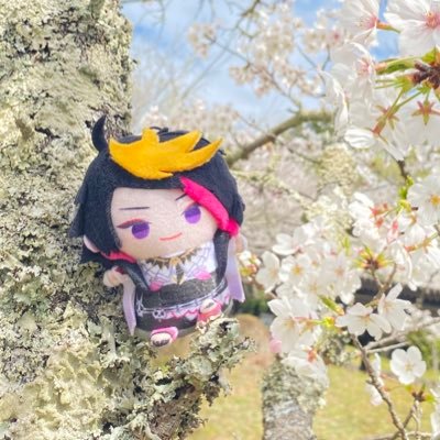 成人済 取引垢 手渡しは大阪奈良付近中心 梱包方法はDMにてお伝えします 長期のお取引の場合はご連絡先を事前にお伺いします @12goods_Canの2j3j専用垢