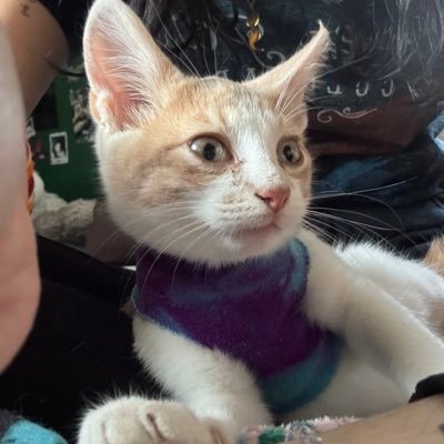 recoveryin_prog's profile picture. in recovery! @/oh1reland all platforms😗