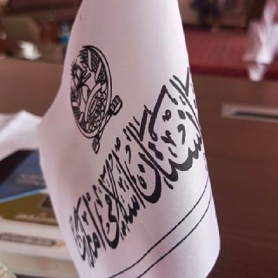 talqany826841's profile picture. 