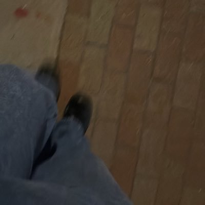 briianelly's profile picture. 2S indigenous filmmaker. gaming. literature.