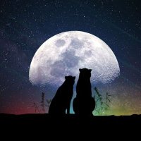 パピイ (@6zsszvemab25467) Twitter profile photo