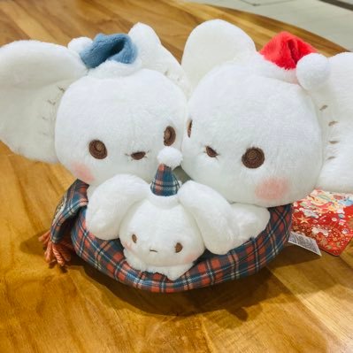 ショコラ❤︎さんのプロフィール画像
