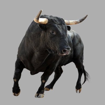 bullesen's profile picture. 