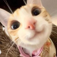 ํ (@jalibagguzayo) 's Twitter Profile Photo ํ (@jalibagguzayo) 's Twitter Profile Photo
