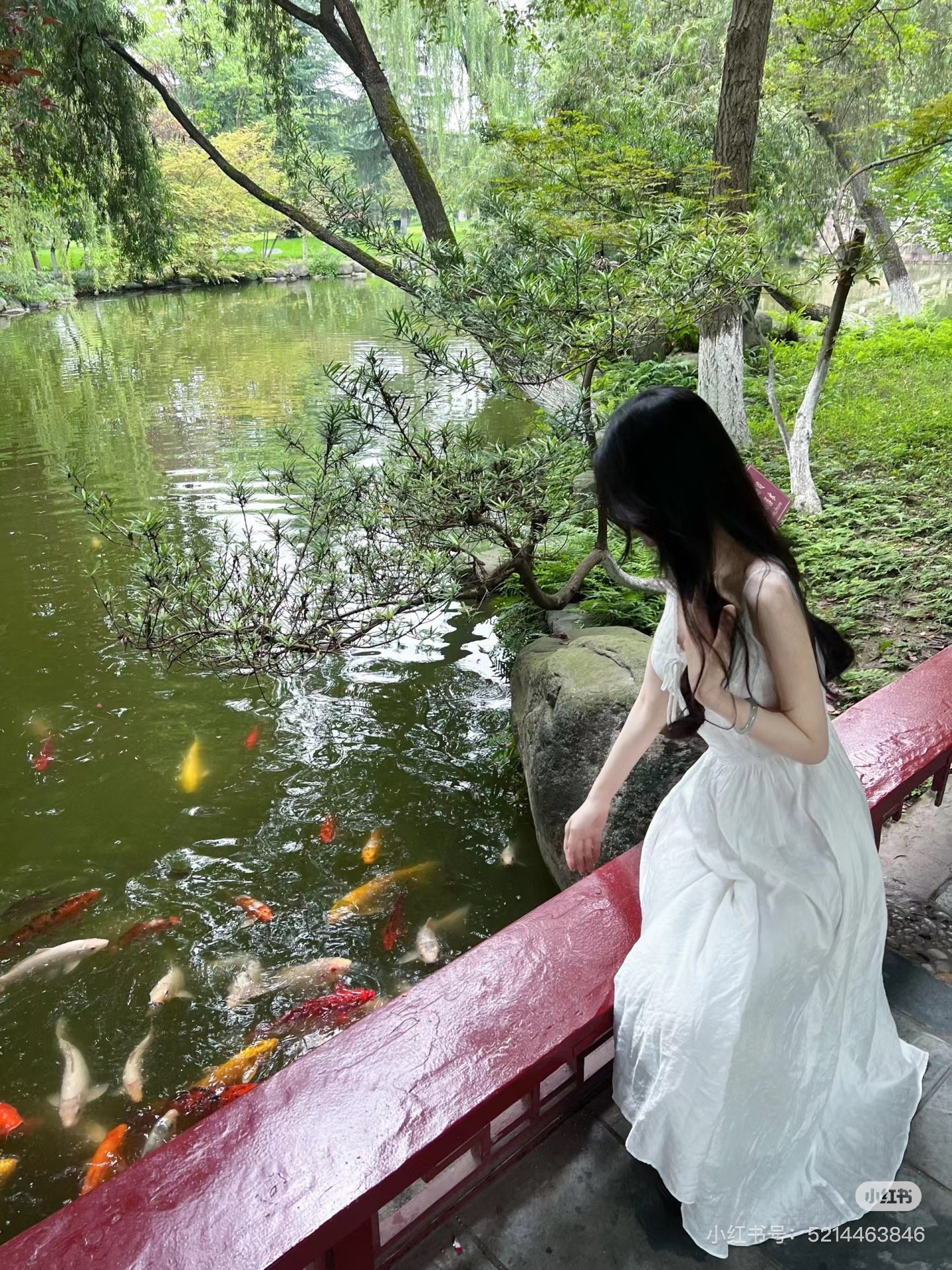 JosporShL_UI's profile picture. 