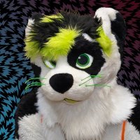 Wulf ʕ•ᴥ•ʔ (@wolftheotter) 's Twitter Profile Photo Wulf ʕ•ᴥ•ʔ (@wolftheotter) 's Twitter Profile Photo