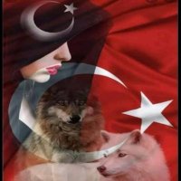Mrs.K 🇵🇸 (@mrs_ysllkc) 's Twitter Profile