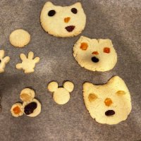 しろくまちゃん@5y (@yefc3axi0d46263) Twitter profile photo