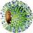 Flu_alert's profile image