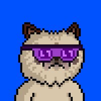Meow πΌβ‘οΈ (@m3owlord) 's Twitter Profile